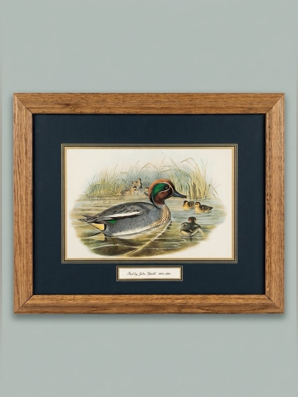 Vintage Framed Teal Duck Print by John Gould